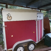 Trailer cavalli