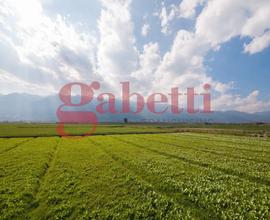 Terreno Agricolo Venafro [VF NRCC3770 85VCG]