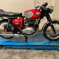 BSA A65 Lightning 650 c.c