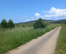 Terreno agricolo in vetricella