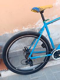 Bici mountain bike 29.