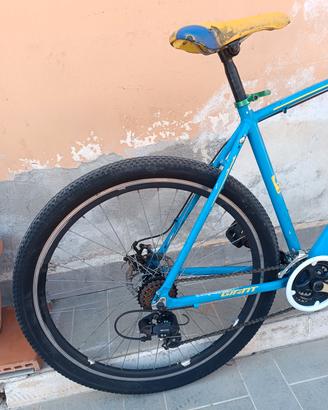 Bici mountain bike 29.