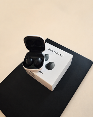 Samsung Galaxy Buds 2 Graphite/White - Come Nuove
