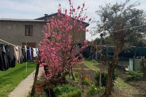 Casa indipendente di 142 m² con 4 locali a Mordano