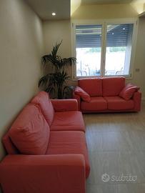 DIVANI CINOVA ROSA ANTICO