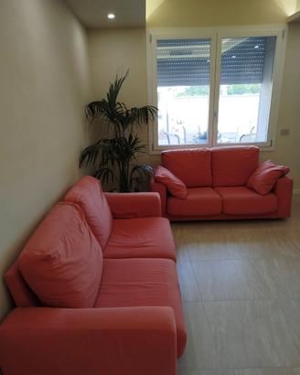 DIVANI CINOVA ROSA ANTICO
