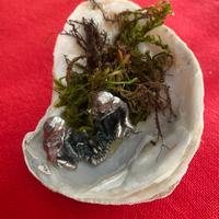 Presepe sacra famiglia artigianale dentro ostrica