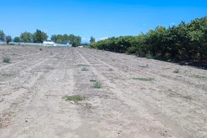 Terreno agricolo