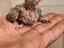 Immagine 6