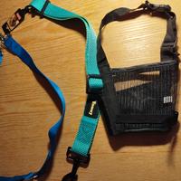 museruola , guinzaglio e cintura per cani in auto 