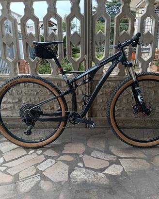 MTB carbonio