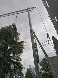 Gru Alfa automontante