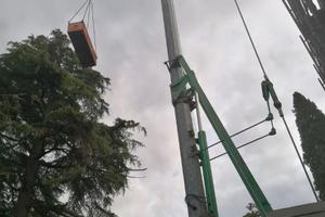 Gru Alfa automontante