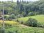 Immagine 15