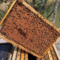 Az. Ag. La Valle delle api vendit. sciami