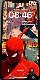 Apple iPhone 11 Pro Max 256gb nero