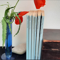 I capolavori di Shakespeare - 6 libri -