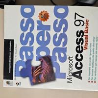 Libro Microsoft Access 97 Visual Basic guida