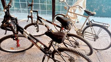 mountain bike e bici da strada