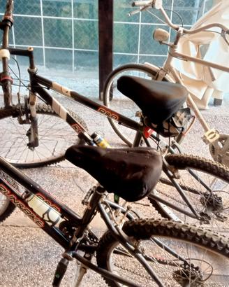 mountain bike e bici da strada