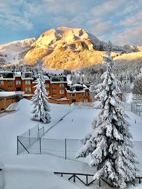 Campitello Matese - Bilocale con accesso piste SCI