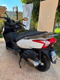 scooter Kimko dountohwn 300