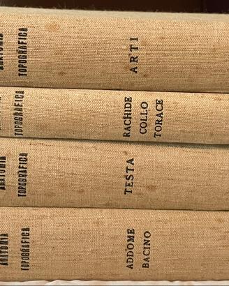 Libri