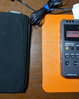 EDIROL R1 Registratore MP3/WAV Portatile Roland