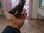 Immagine 1
