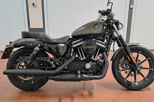 Harley Davidson  sportster 883 iron