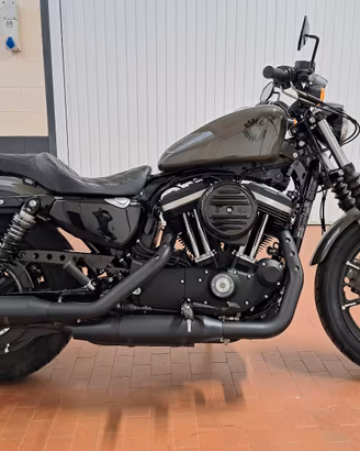 Harley Davidson  sportster 883 iron