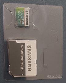 micro sd 256 gb samsung veloce