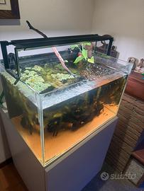 Acquario 63x40x40