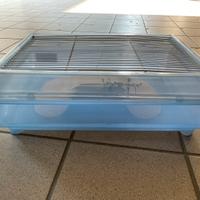 Vaschetta per tartarughe