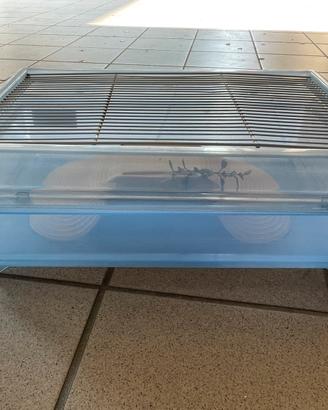 Vaschetta per tartarughe