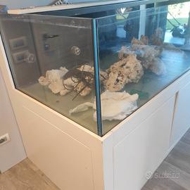 ACQUARIO MARINO  1200 litri