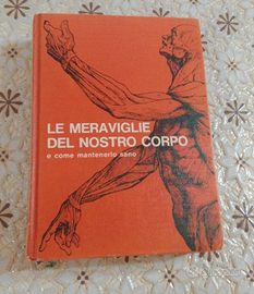 dizionario corpo umano