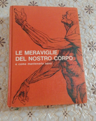dizionario corpo umano