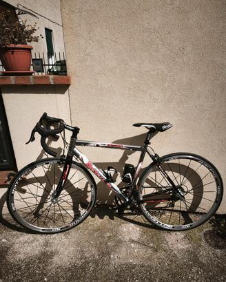 Bici da corsa Bottecchia taglia s 51