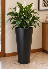 Vaso/portaombrelli Ikea