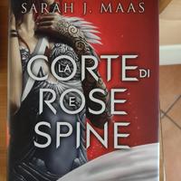 La corte di rose e spine