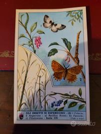 Figurine Lavazza anni 49/51