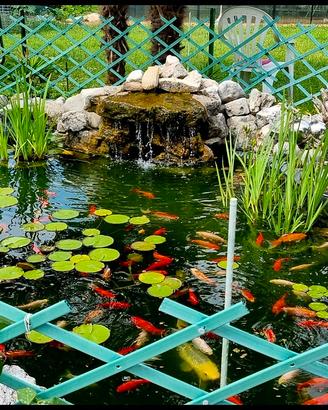 Laghetto da giardino 