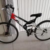 Mountain bike
