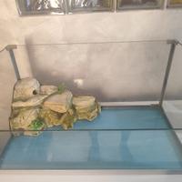 Acquario per Tartarughe – 30 Litri con Lampada