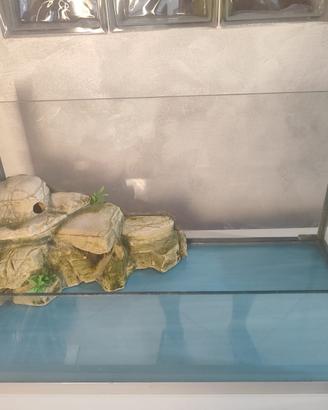 Acquario per Tartarughe – 30 Litri con Lampada