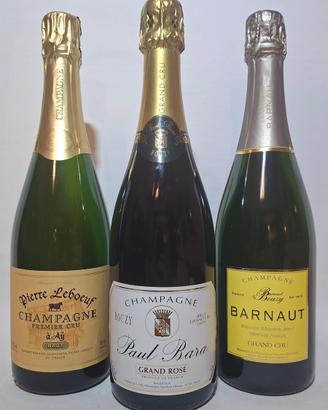 Champagne Selection