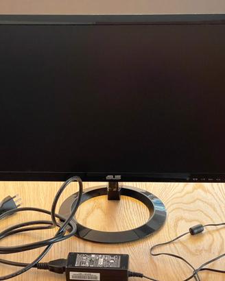 Monitor 17 pollici HP e Asus pollici LCD