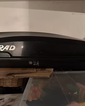 Box tetto auto - porta sci - con barre