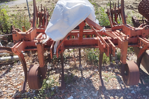 Ripuntatore estirpatore fraternali